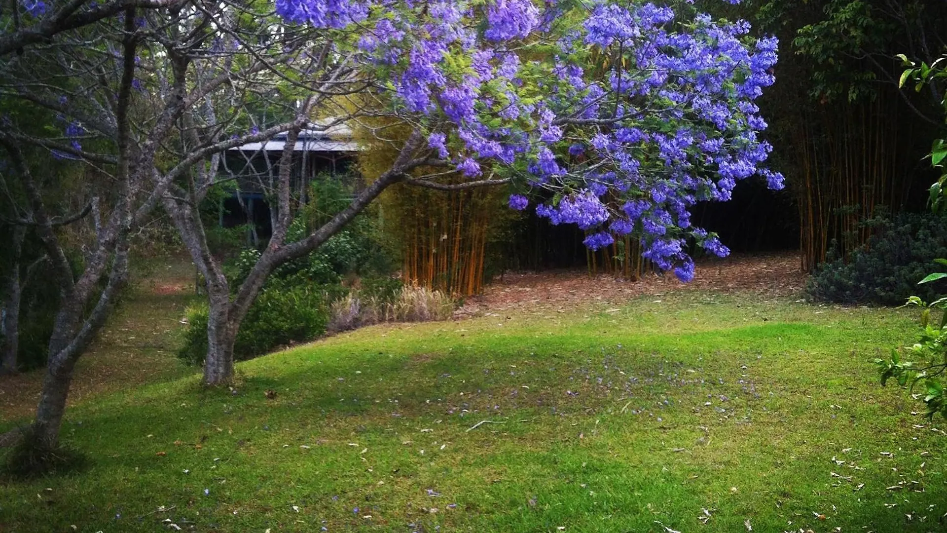 럭셔리텐트 Cloudlake Mountain Retreat Ravensbourne